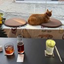 버스정류장 07-488 이미지