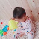 아리꼬까