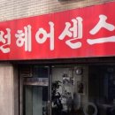 정선헤어