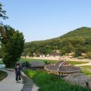 오월의 언덕 이미지