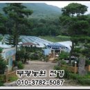 은하네농장 이미지