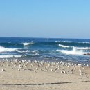 7번국도 이미지