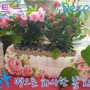 냅킨 아트 화분 만들기 이미지