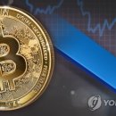 오르락 이미지