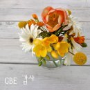 레브(REVE) 이미지