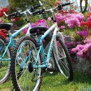 샛별팬션 이미지