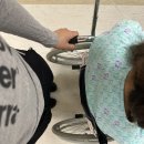 담낭제거수술 후기 통증 음식 시간 총정리★