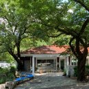 앞산공원관리소 내 | 카페ㅣ대구 앞산 신상 카페 - 새소리 : 제주 감성 한가득 🌴 아기랑 ♡