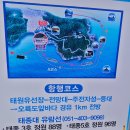 부산 태종대 유람선 타고 부산바다 여행코스추천