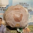 [햄버거] 맥도날드 맥치킨 버거 세트 맛 후기