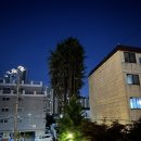 일상을 기록하는 어반 스케치 | [인천카페추천] 아파트 숲 사이 기적처럼 찾아낸 힐링 성지! 거대한 자연을 품은 '카페더큰나무' 🌳🏡