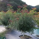 수지로4L-1 이미지