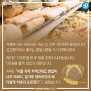 서울헤어뉴스