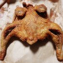 가마치 (수영) 이미지