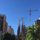 주)월곡영화골 | 바르셀로나 3일 여행 코스 ① / 첫날 동선 완벽 정리, 고딕지구부터 캄프누 직관 후기까지