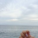 [제주도 여행] 그랑블루 돌고래 선셋 요트투어 / 중문회포장센터 솔직 후기
