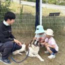영광유치원