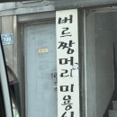버르짱머리