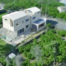 모들737하효 이미지