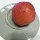 광용농장 이미지