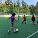 반월태권도장 이미지