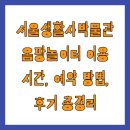 서울생활사박물관 옴팡놀이터 이용 시간 예약 방법 후기 총정리