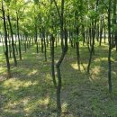 율하체육공원 생태연못 이미지