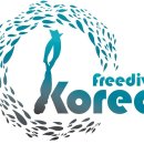🌊 경남 최초 프리다이빙 전문교육기관, 프리다이브코리아의 시작 이야기