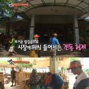 불사돈