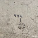 정한농장 | 제주도 귤 따기 체험하기 좋은 귤의 정원 바령 세븐틴 정한 포토북 WANDERLUST 촬영지 내돈내산 후기