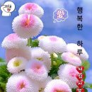 해피명품세탁 이미지