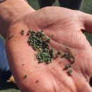 청도천체육시설 이미지