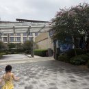 도그패밀리 | 7살 11개월 아기들과 제주신화월드 워터파크 이용 후기-내돈내산