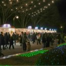 남문점 현대자동차 | 울산대공원 크리스마스 마켓 2025 완벽 가이드! 일정·주차·포토존 총정리