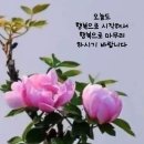향기 - 남양주시 미금로 239 | 향기