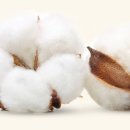 오일앤워시 이미지