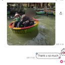 우리힐약국 | 베트남다낭 커플 자유여행 2일차 | 바나힐 골든브릿지 맑은 날 방문, 그랩 하루 렌트