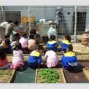 성심예아뜨어린이집 이미지