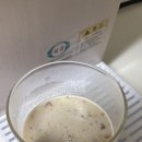 호두스토리