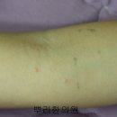 뿌리한의원 이미지