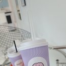 하비펫 이미지