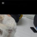 까까몽 - 부평구 부개로 61-6 | 까까몽
