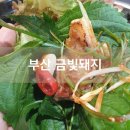 부산 초읍 맛집 금빛돼지