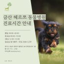 금산헤르쯔동물병원