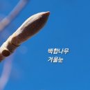 보배 어린이공원 이미지