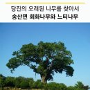 칠절리 이미지