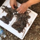 써니의 펜션 스토리 이미지