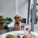 roowoo coffee(루우커피)