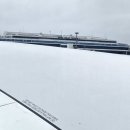 이든캣 | 나홀로 도쿄 3박4일 [10/20~23]