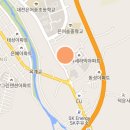 서미가